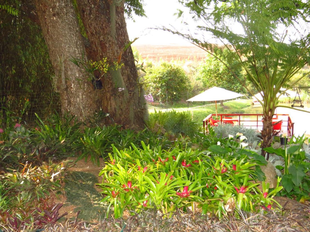 Eden Cottage White River Extérieur photo